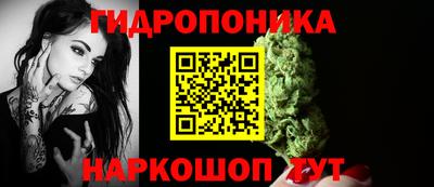 spice Гусь-Хрустальный