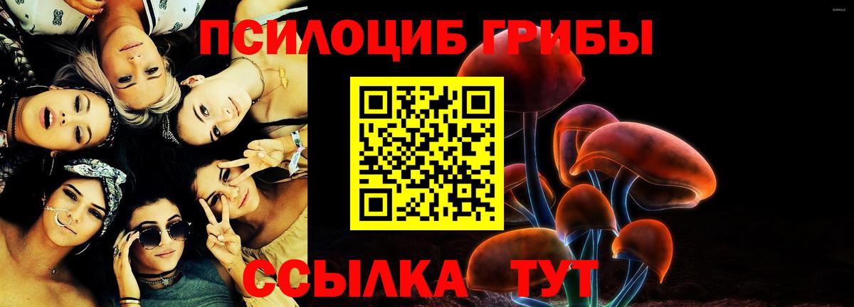 Миллерово  Галлюциногенные грибы Cubensis  Вход с VPN 
